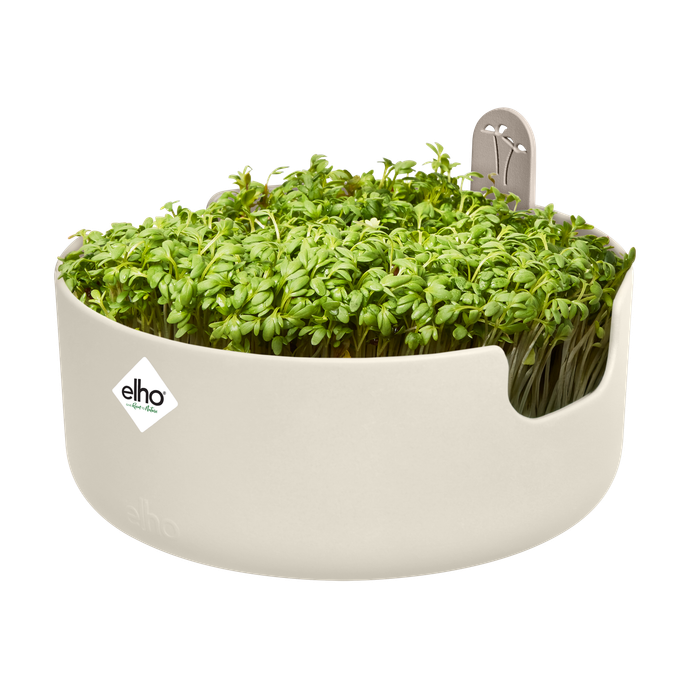 magic microgreens bianco lino